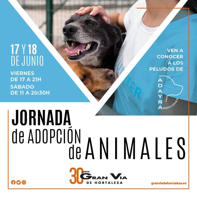 Gvh_jornada adopcion animales junio 22_900x900